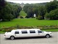 Limousine Festsaal 02